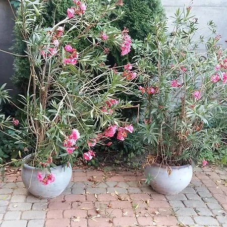 8 Km Od Suntago, Deepspot Bed & Breakfast 3*