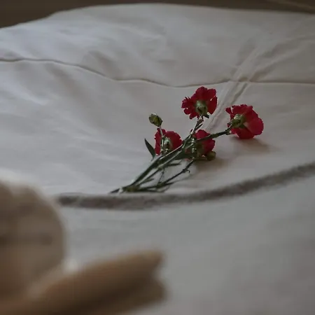 Bed & Breakfast 8 Km Od Suntago, Deepspot 3*