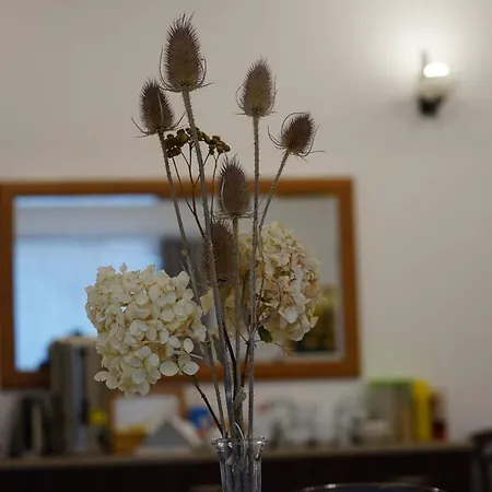 Bed & Breakfast 8 Km Od Suntago, Deepspot