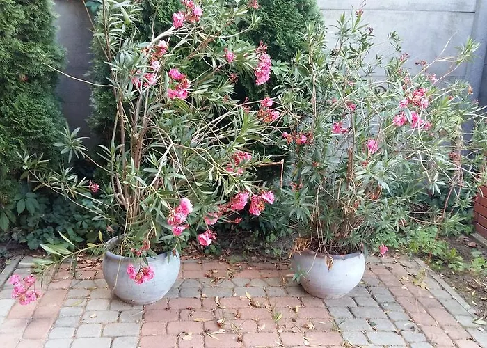 8 Km Od Suntago, Deepspot Bed & Breakfast 3*