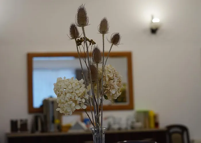 Bed & Breakfast 8 Km Od Suntago, Deepspot